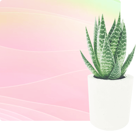 Design for any budget
