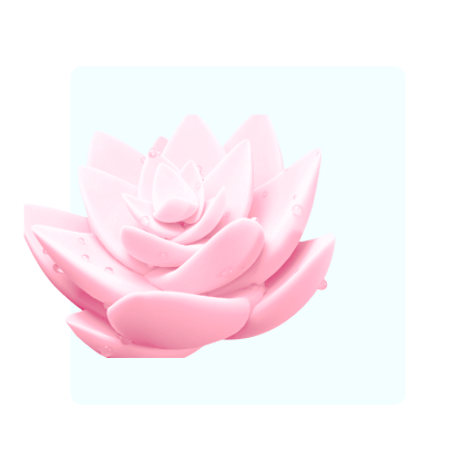Millions of free frames/images